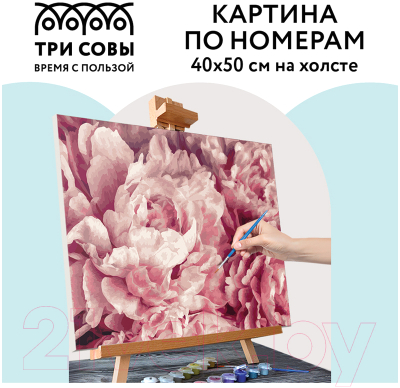 Изображение товара Картина по номерам Три совы Нежные пионы / КХ_44149