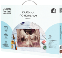 

Картина по номерам Три совы, Нежный ангел / КХ_44201