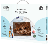 

Картина по номерам, Рыжик / КХ_44173