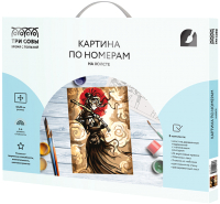 

Картина по номерам Три совы, Самурай / КХ_44179