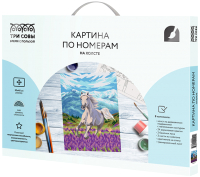 

Картина по номерам, Свобода / КХ_44094