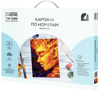 

Картина по номерам Три совы, Стихия. Огонь / КХ_44203