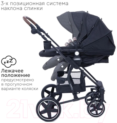 Детская универсальная коляска Tomix Emily 2 в 1 / HP-720 (черный)