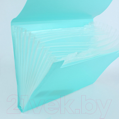 Папка для бумаг Darvish Ice / DV-1778IE-BL (голубой)