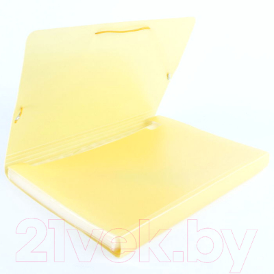 Папка для бумаг Darvish Ice / DV-1778IE-OR (желтый)
