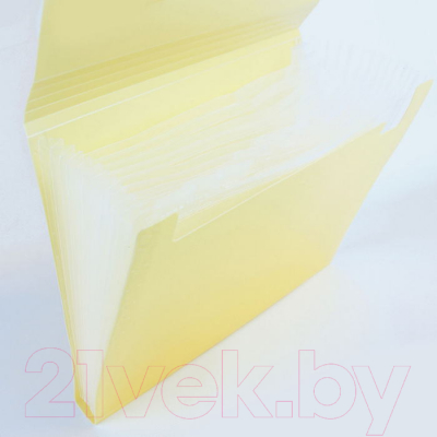 Папка для бумаг Darvish Ice / DV-1778IE-OR (желтый)