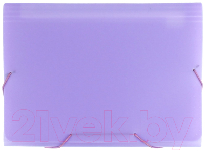 Папка для бумаг Darvish Ice / DV-1778IE-PR (фиолетовый)