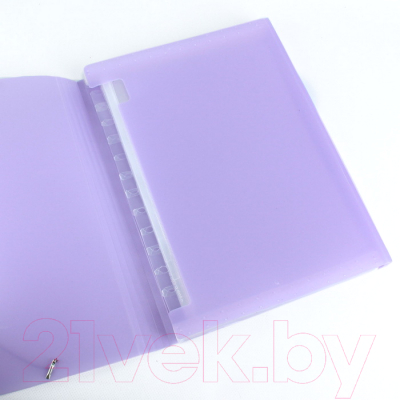 Папка для бумаг Darvish Ice / DV-1778IE-PR (фиолетовый)