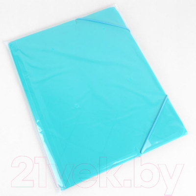 Изображение товара Папка для бумаг Darvish Diamond / DV-09715D-BL (голубой)