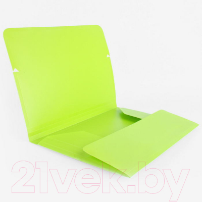 Изображение товара Папка для бумаг Darvish Diamond / DV-09715D-LG (салатовый)