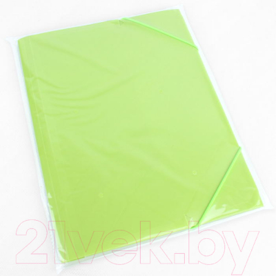 Изображение товара Папка для бумаг Darvish Diamond / DV-09715D-LG (салатовый)