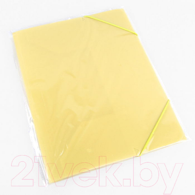 Изображение товара Папка для бумаг Darvish Ice / DV-09715IE-OR (желтый)