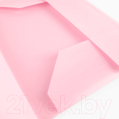 Папка для бумаг Darvish Ice / DV-09715IE-PN (розовый)