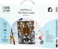 

Картина по номерам Три совы, Тигриный взгляд / КХ_44087