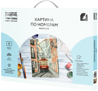 

Картина по номерам Три совы, Трамвай / КХ_44188