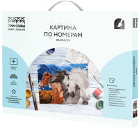 

Картина по номерам Три совы, Тройка коней / КХ_44168