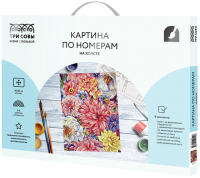 

Картина по номерам Три совы, Цветочный ковер / КХ_44110
