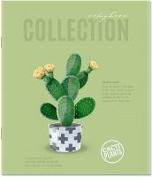 

Тетрадь Апплика, Цветущий кактус / С0221-166