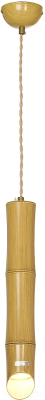 Потолочный светильник Lussole LSP-8563