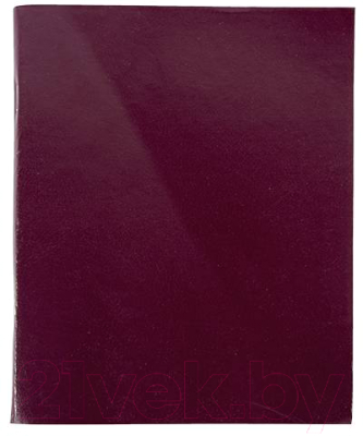 Изображение товара Тетрадь Lite №2 CBBVА4-96Br (96л, бордовый)