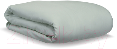 Комплект постельного белья Tkano Wild TK20-DC0008 (мятный)