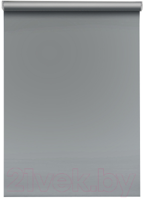 Рулонная штора Эскар Blackout 120x170 / 814621201601 (серый)