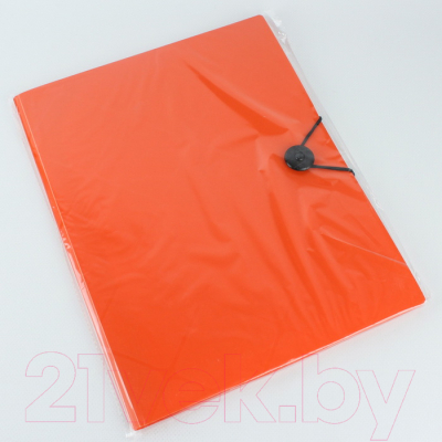 Папка для бумаг Darvish Diamond / DV-1771D-OR (оранжевый)
