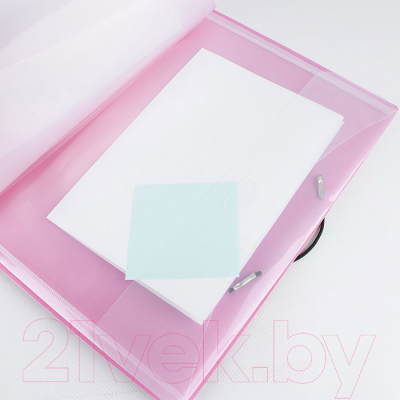Папка для бумаг Darvish Diamond / DV-1771D-PN (розовый)