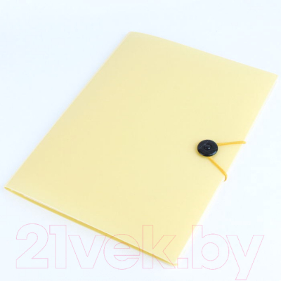 Папка для бумаг Darvish Ice / DV-1771IE-OR (желтый)