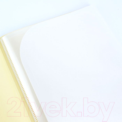 Папка для бумаг Darvish Ice / DV-1771IE-OR (желтый)