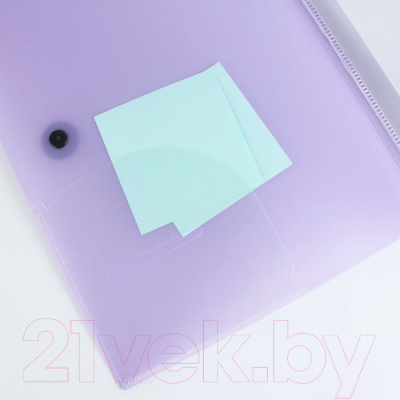 Папка для бумаг Darvish Ice / DV-1771IE-PR (фиолетовый)