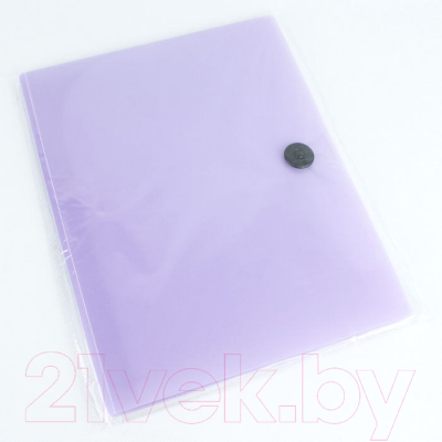 Папка для бумаг Darvish Ice / DV-1771IE-PR (фиолетовый)