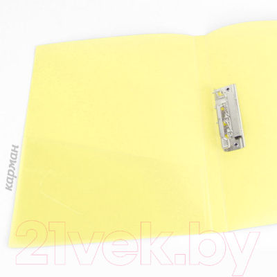 Папка для бумаг Darvish Ice / DV-1772IE-OR (желтый)