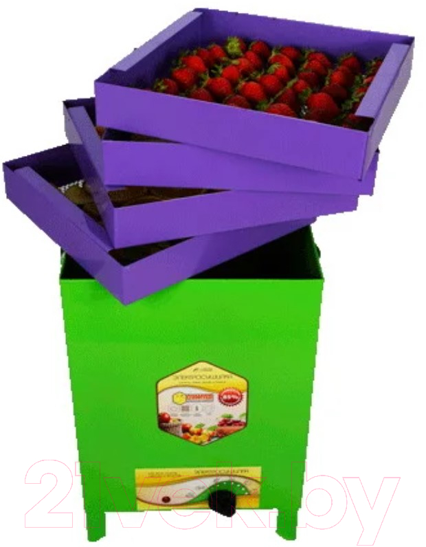 Сушильный шкаф для овощей и фруктов УЗБИ Сухофрукт В01 / slkpp4