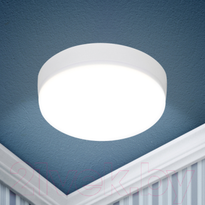 Потолочный светильник ЭРА LED 15-36-4K / Б0054336