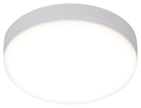 Потолочный светильник ЭРА LED 15-36-6K / Б0054337 - 