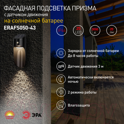 Светильник уличный ЭРА ERAFS050-43 / Б0044491