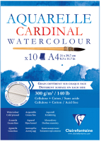 

Альбом для рисования, Cardinal A4 / 96183C