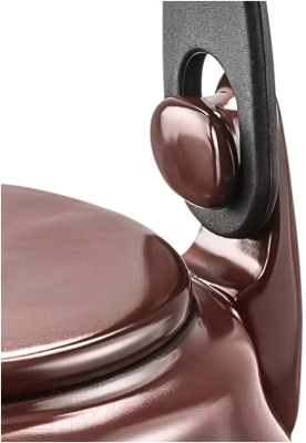 Чайник Ceraflame Terrine / N57955 (1.5л,шоколад)