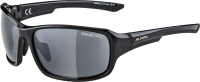 Очки солнцезащитные Alpina Sports 2022 Lyron/ A8630331 (черный/серый) - 