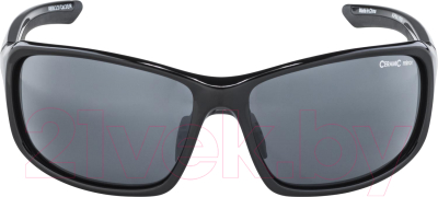 Очки солнцезащитные Alpina Sports 2022 Lyron/ A8630331 (черный/серый)
