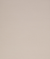 Рулонная штора LEGRAND Лестер 38x175 / 58095302 (светло-серый) - 