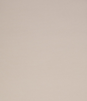 Рулонная штора LEGRAND Лестер 66x175 / 58095308 (светло-серый) - 