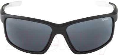 Очки солнцезащитные Alpina Sports 2022 Defey / A8645431 (черный /белый матовый)