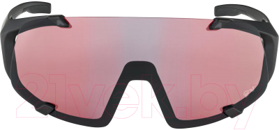 Очки солнцезащитные Alpina Sports 2022 Hawkeye Qv / A8689531 (черный матовый)