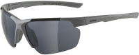 Очки солнцезащитные Alpina Sports 2022 Defey Hr Moon/ A8657321 (серый матовый/черный) - 