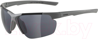 Очки солнцезащитные Alpina Sports 2022 Defey Hr Moon/ A8657321 (серый матовый/черный)