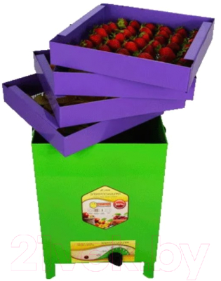 Сушильный шкаф для овощей и фруктов УЗБИ Сухофрукт В02 / 15860