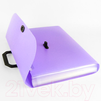 Папка-портфель Darvish Ice / DV-1874IE-PR (фиолетовый)