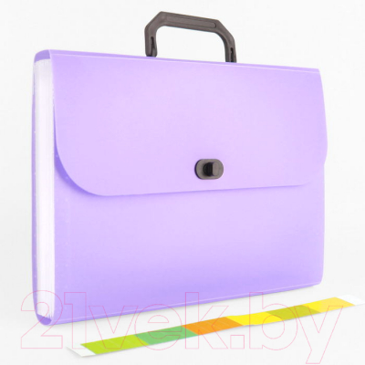 Папка-портфель Darvish Ice / DV-1874IE-PR (фиолетовый)